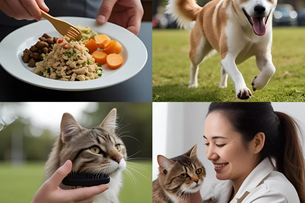 4 rutinas pet que evitan gastos médicos altos